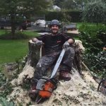 Tree stump, chainsaw and "lumberjack"