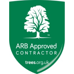 ARB logo