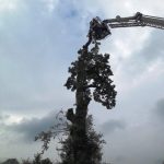 Lightning Strike Bradford-on-Avon