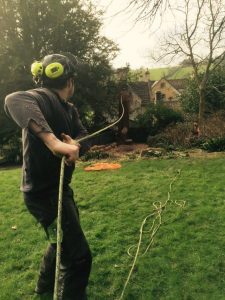 Removal of Redwood at Iford Manor