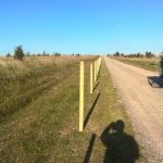 Stock netting on the edge of Salisbury Plain