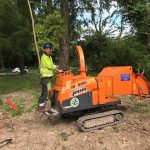Dismantling trees Tidworth