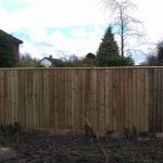 Nice close-board garden fence