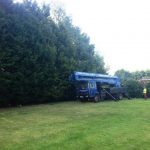 Hedge reduction Worton, Devizes