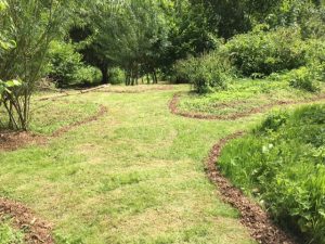 Hedgehog habitat for Cirencester Opportunity Group