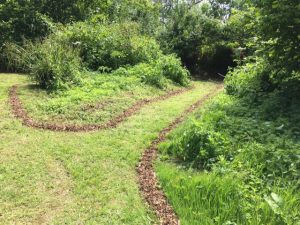 Hedgehog habitat for Cirencester Opportunity Group