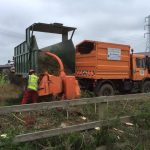 Mulching trees and hedges after removal