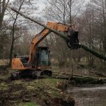 Removal of self-set alder trees in Devizes