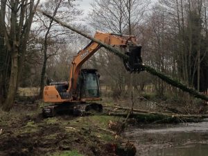 Removal self-set alder trees in Devizes