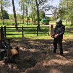 Stump grinding Marlborough