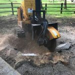 Tree Stump grinding