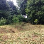 Scrub clearance and vegetation management