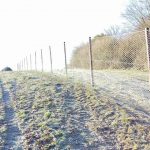 constructing or extending pheasant pens