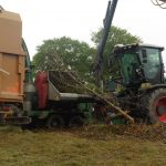 Mulching branches into biomass