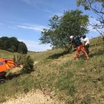 Clearing a bank at Chitterne for Wylye Valley Farm Shoot