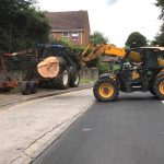 Dismantle failing beech tree in Calne