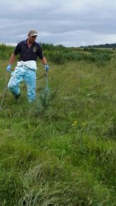 Scrub spraying Salisbury Plain