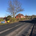 A trip to Glastonbury this week for a overdue pollard and hedge cut along the main rd Before and after