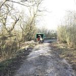 Reduction of roadside willows in Marston Meysey