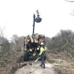 Removing felled trees