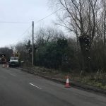 Pollard to roadside willow trees in Warminster today