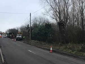 Pollard to roadside willow trees in Warminster today