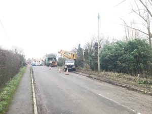 Pollard to roadside willow trees in Warminster today