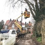 Our Cherry Picker conducting tree works for Pewsey Parish Council