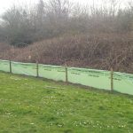 Newt fencing in Tidworth