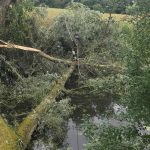 Removing fallen willows from the river at Lacock 1