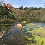 Removing fallen willows from the river at Lacock 1