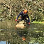 Removing fallen willows from the river at Lacock 1