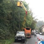 Tree reductions in Westbury