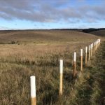 Palisade Fence Salisbury Plain