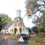 Reduction and crown lifting to two large oak trees in Trowbridge Cemetery