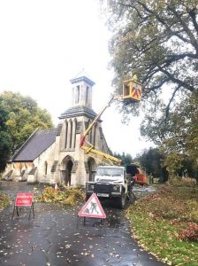 Reduction and crown lifting to two large oak trees in Trowbridge Cemetery