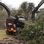 Site Clearance Westbury