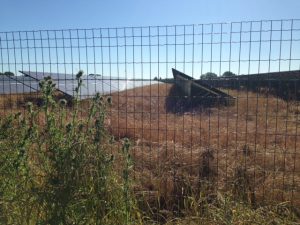 80 ac Solar Farm Westbury