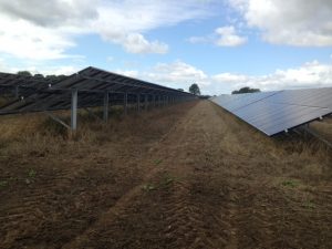 80 ac Solar Farm Westbury