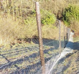 Pheasant Fencing for a large, Wiltshire based, shoot