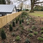 Landscaping at Ticehurst