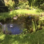 Pond refurbishment Marston complete