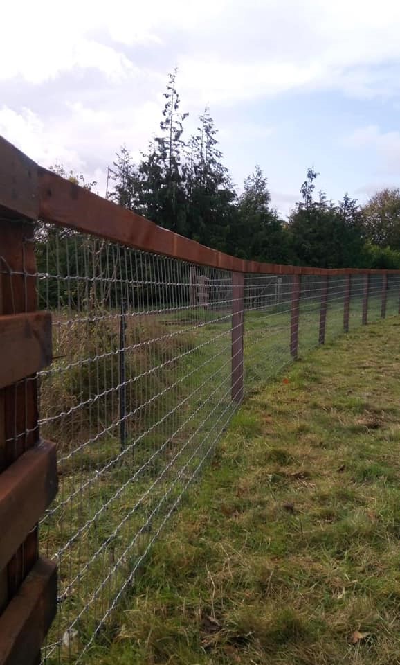 Tornado Wire's Torus Horse Fencing