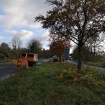 Crown-lifting-of-30-beech-trees-Bodenham-