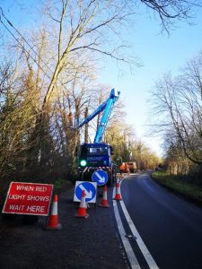 Removal of 40x100’ Ash Trees, Cholderton