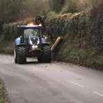 Roadside hedging at West Lavington