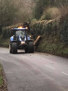 Roadside hedging at West Lavington