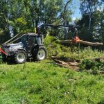 Removal of some dead willows at Horton nr Devizes stacked for onward use !