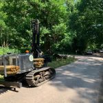 Savernake Forest post installation for the Forestry Commission