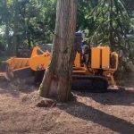 Stump Grinding in Devizes